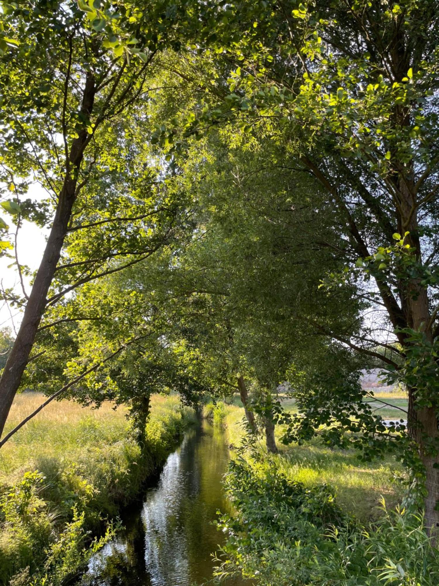 Guesthouse With 3 Apartments, Just Outside Berlin, Near To Tesla Burig المظهر الخارجي الصورة
